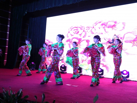 重庆LD(中国)公司20周年庆暨新春团拜会